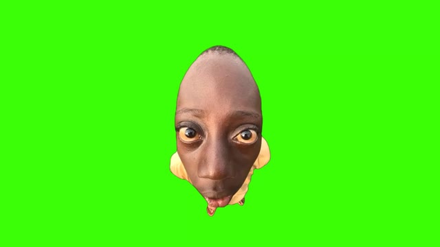 202403102135 green screen