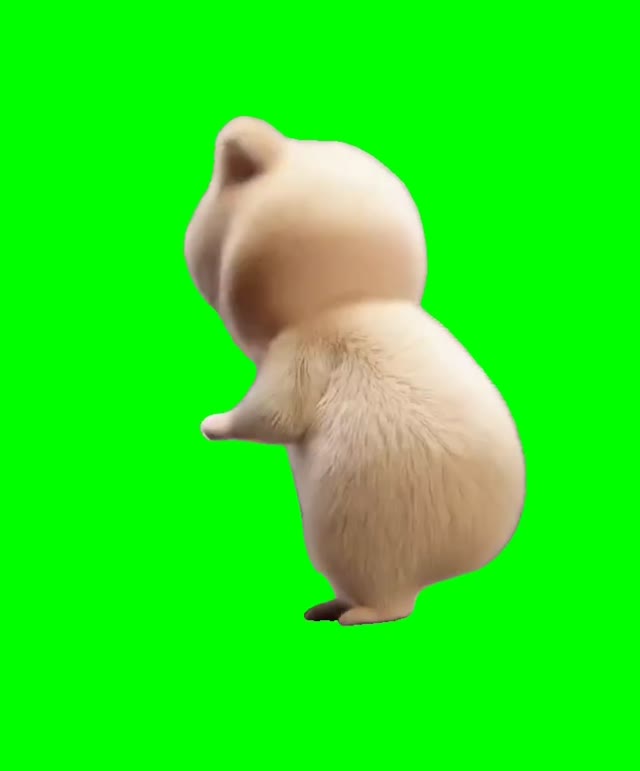 Hamster dance green screen