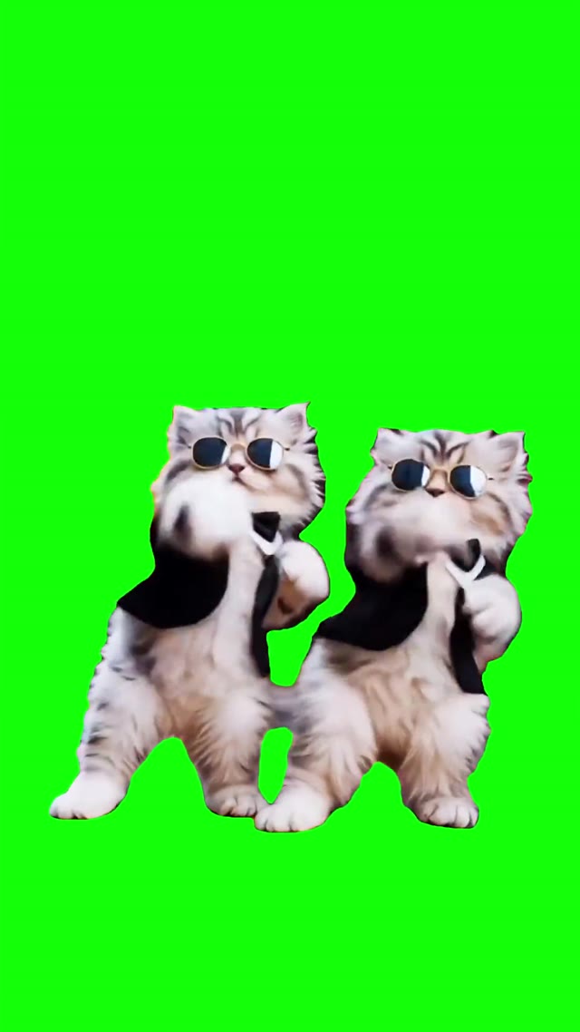 Ai kittens in a suite green screen