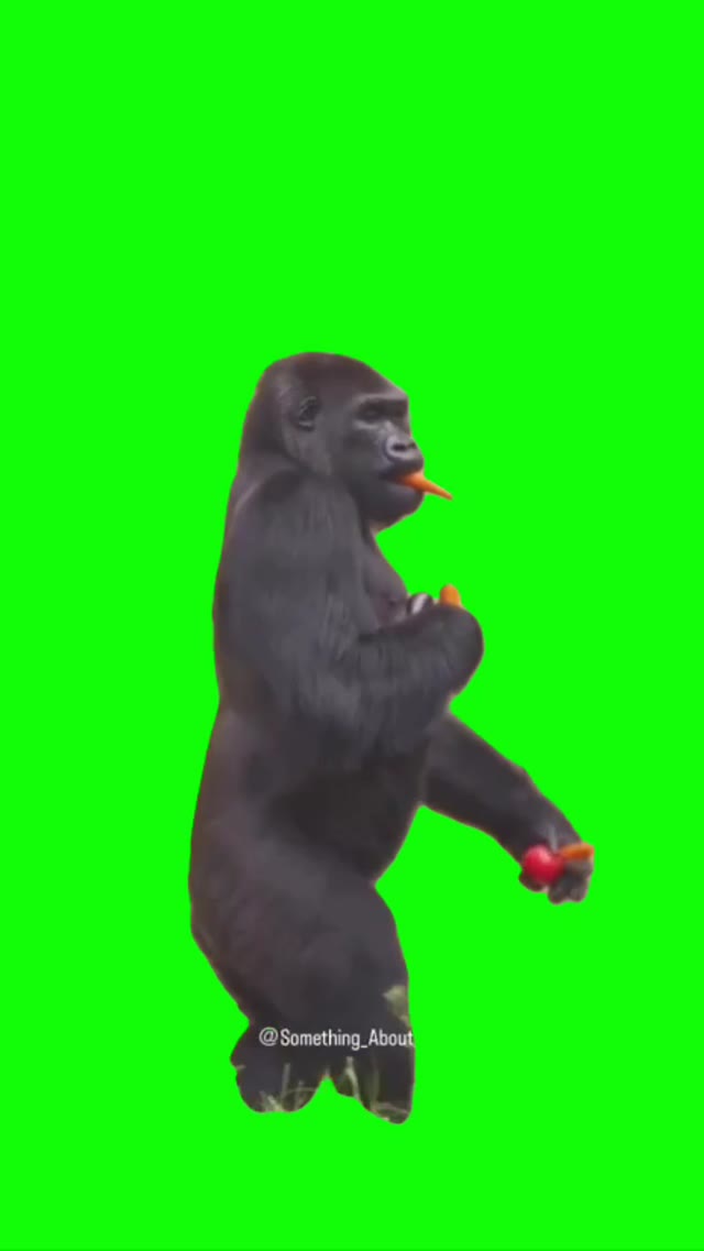 Ape running with food green screen