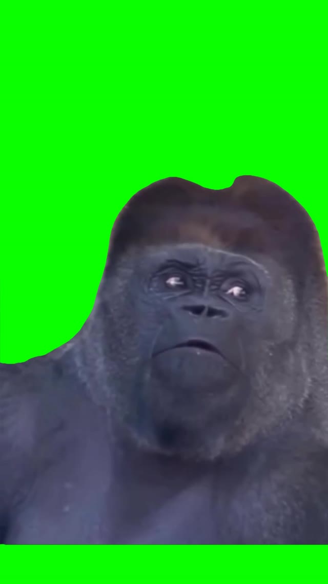 Ape side eye green screen