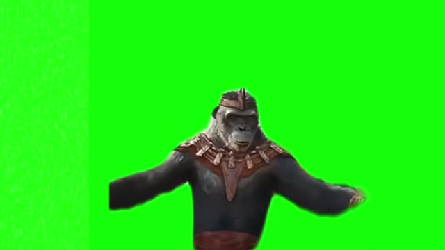 Apes What a wonderful day green screen