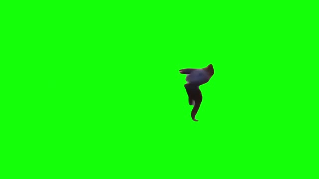 Area 51 Raid Naruto Run Pass News Reporter green screen