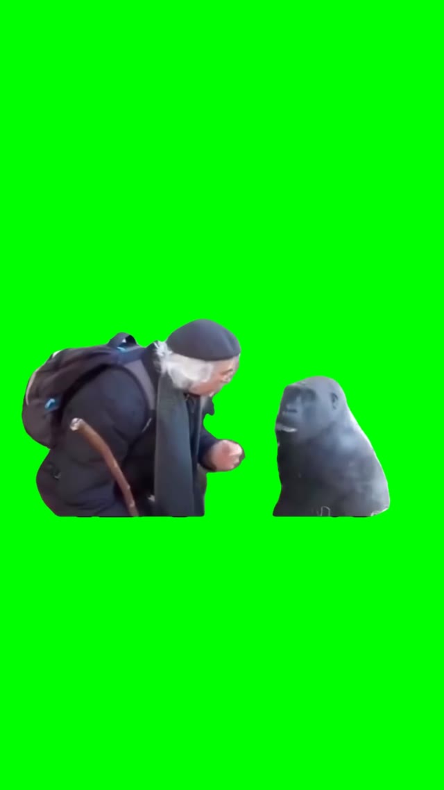 Arguing with a gorilla green screen