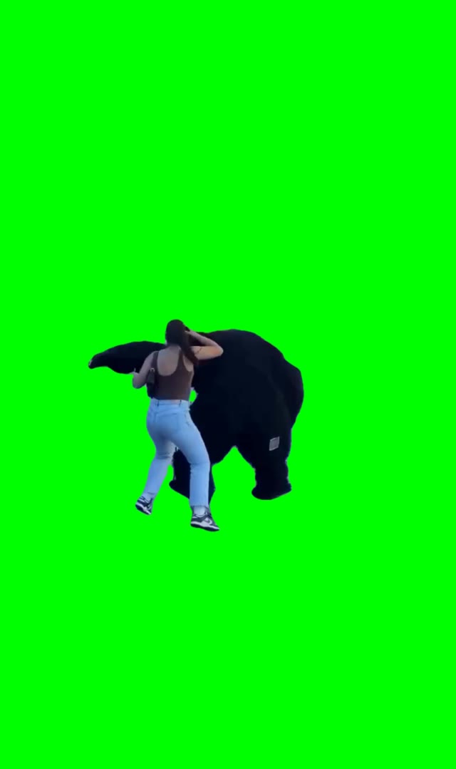 Bailalo rocky green screen