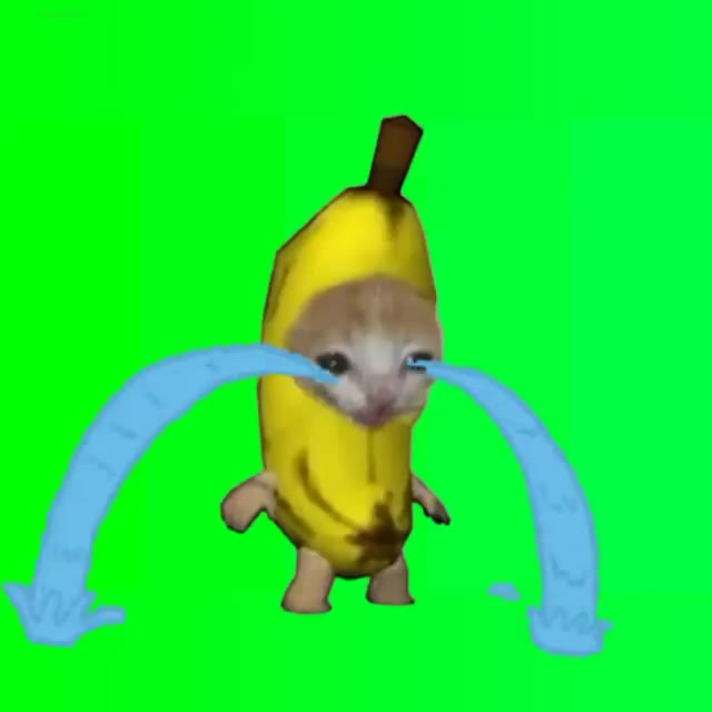 Banana20cat20crying20green20screen green screen