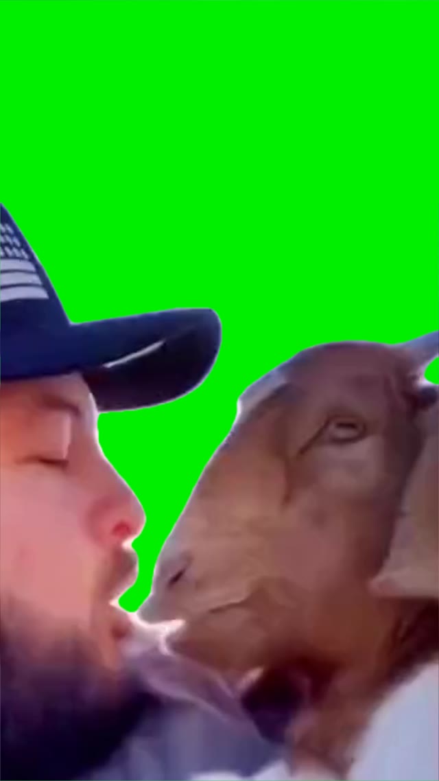 Barbecue or birria green screen