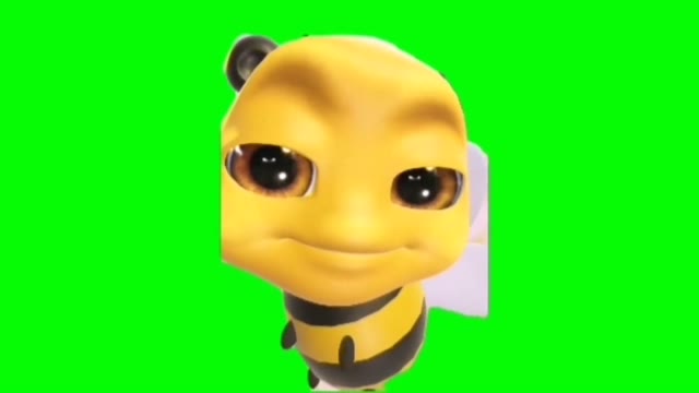 Bee raising eyebrows green screen