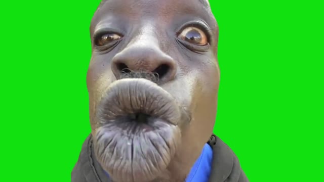 Big Kiss Template green screen