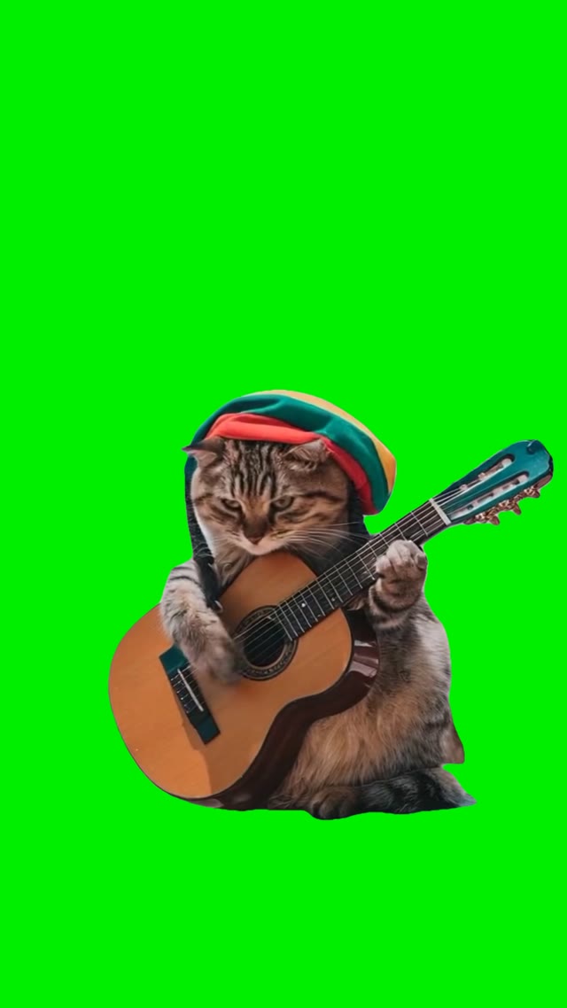 Bob cat ai green screen