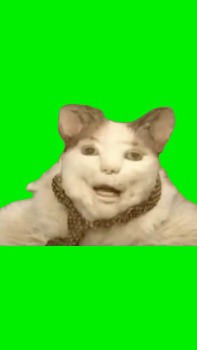 Boo dont be afraid espanol green screen