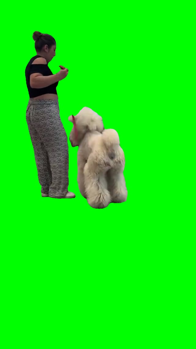 Carrying dog green screen