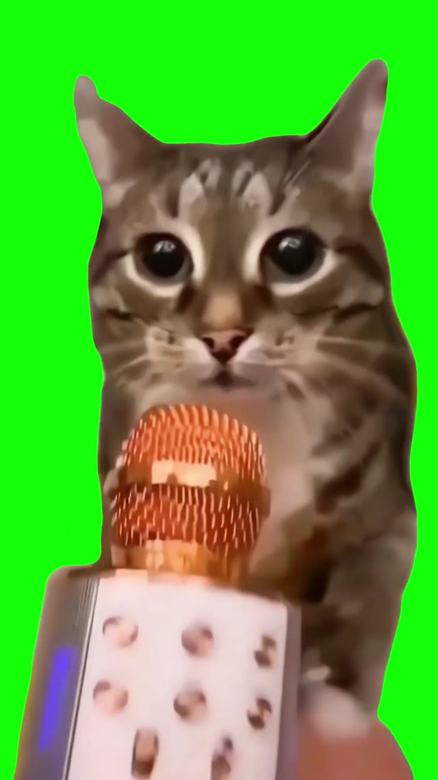 Cat Meows Into Microphone green screen