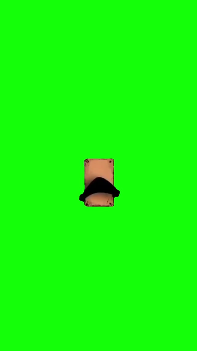 Cat coming out of KeyHole green screen