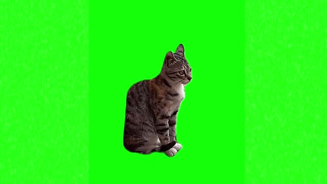 Cat jumps high from the horn green screen