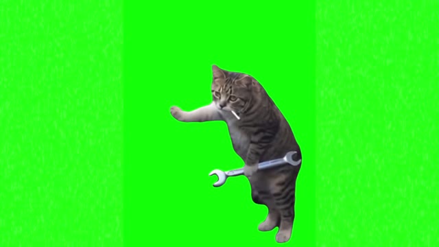 Cat mechanic green screen