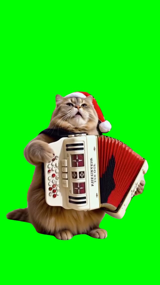 Cat playing accordion green screen