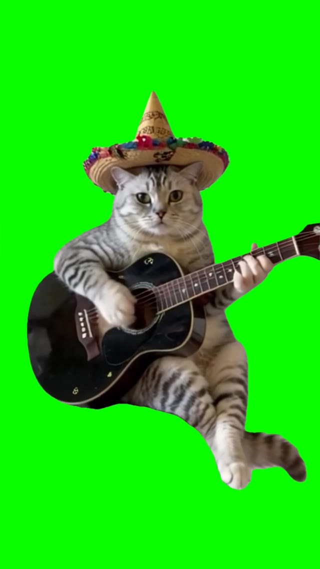 Cat playing guitar green screen