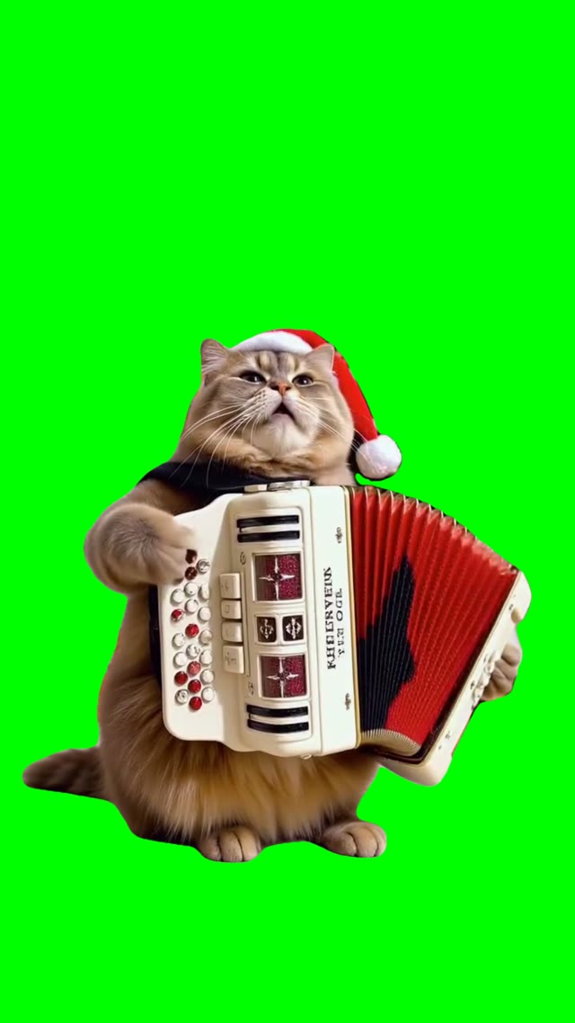 Cat playing jingle bells green screen