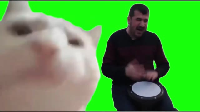 Cat20Vibing20meme20Green20Screen green screen