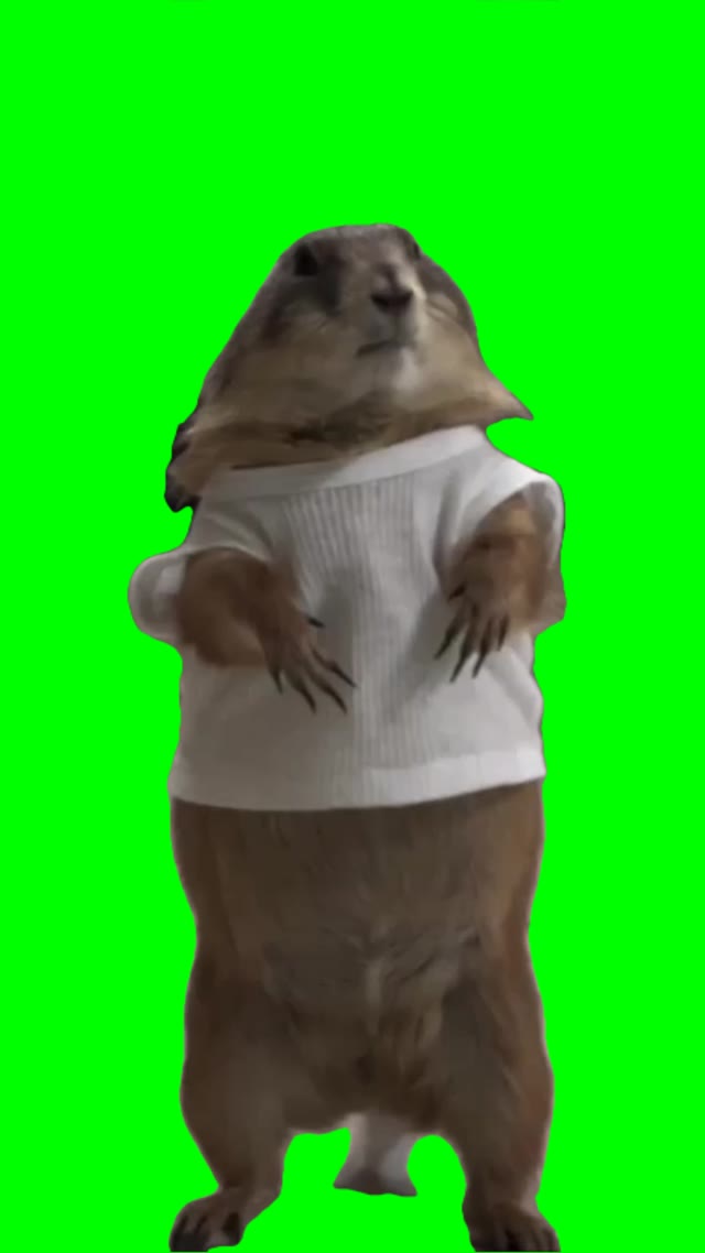 Chester in a tanktop green screen