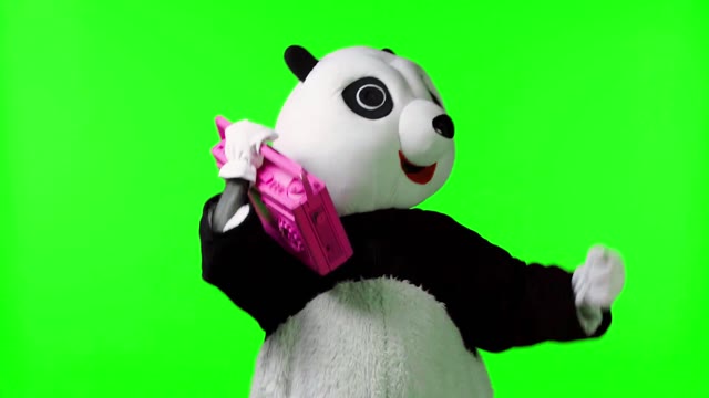 Chinese pandas green screen