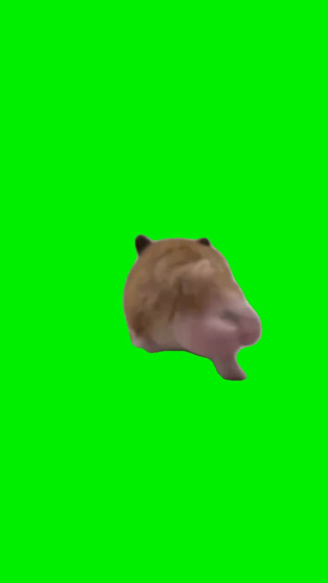 Chipmunk running green screen