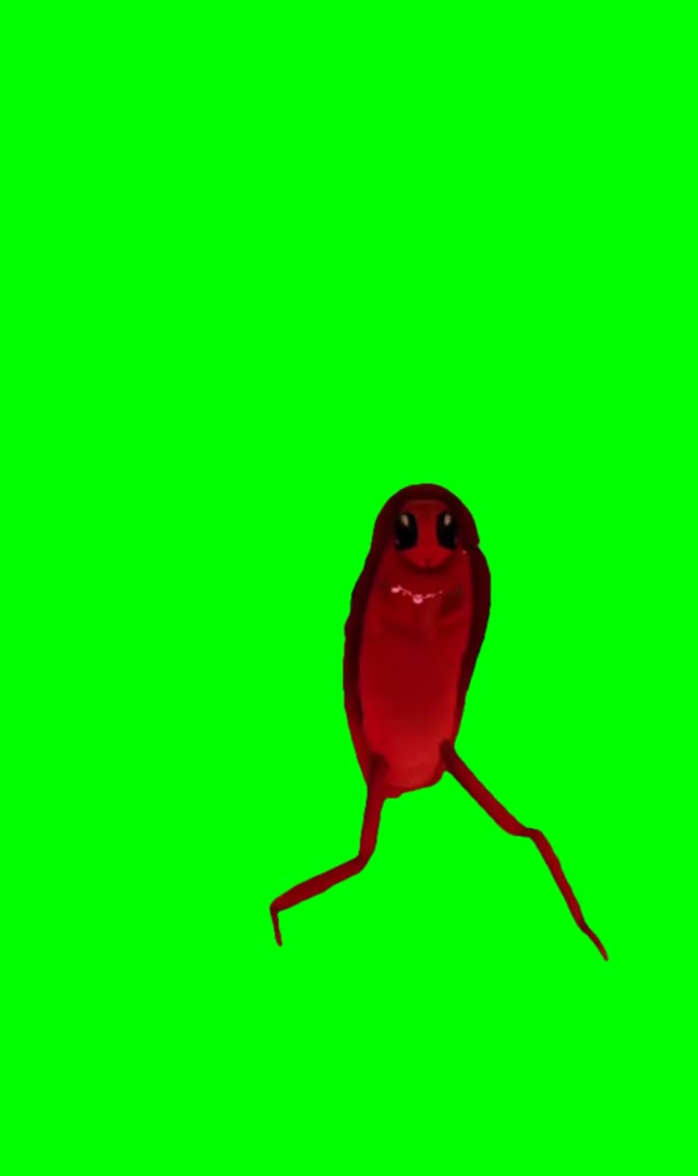 Cockroach dancing green screen