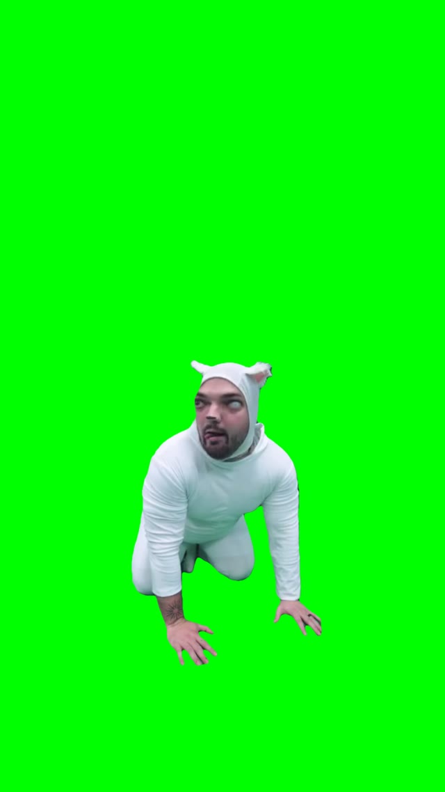 Cosplay Cat Hissing green screen