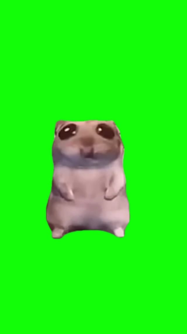 Damn Mommy I just Wanna Hamster Original green screen