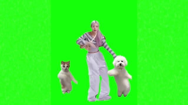 Dance green screen