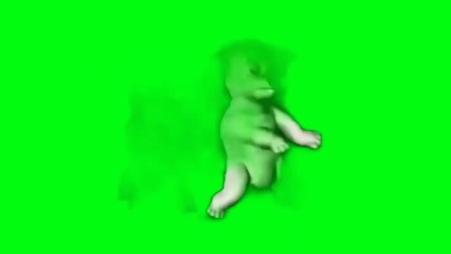 Dancing barbie dogs green screen
