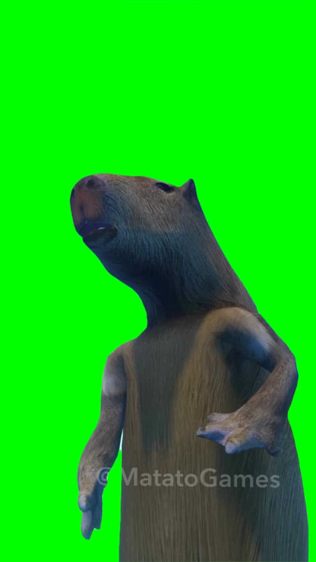 Dancing capybara green screen