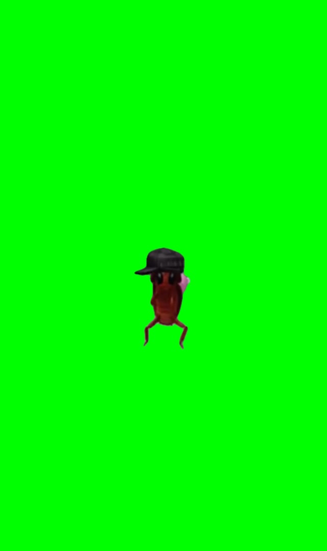 Dancing cockroach green screen