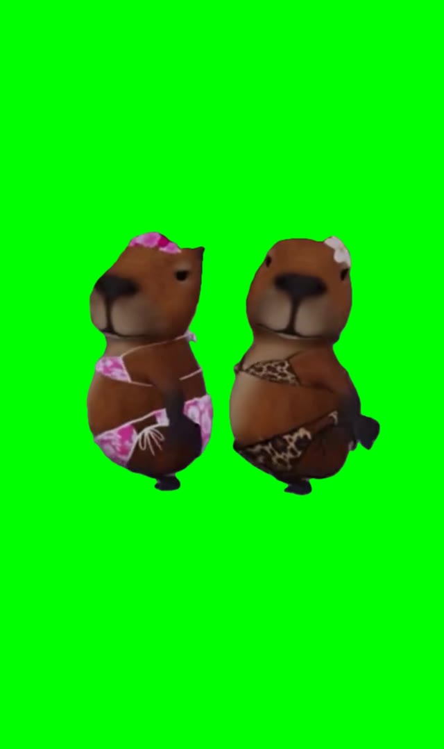 Dancing hamsters green screen
