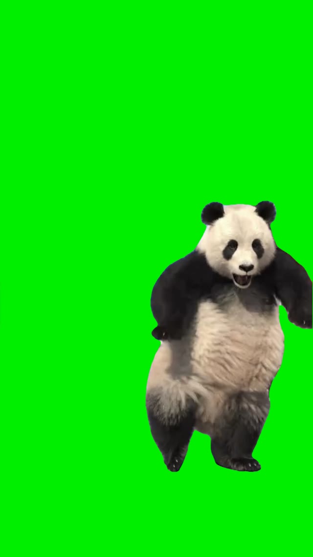Dancing panda green screen