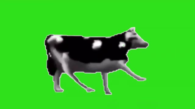 Dancing polish cow green screen