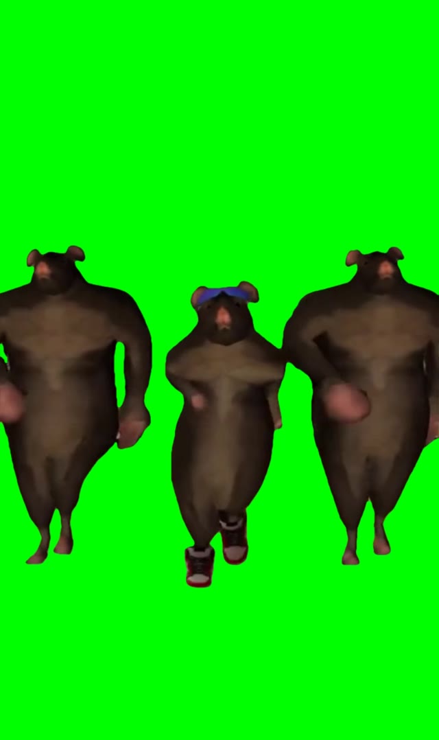 Dancing rats green screen