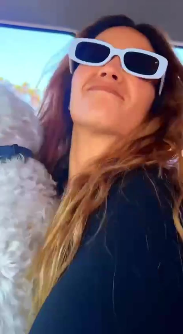 Dog dance flying through space green screen