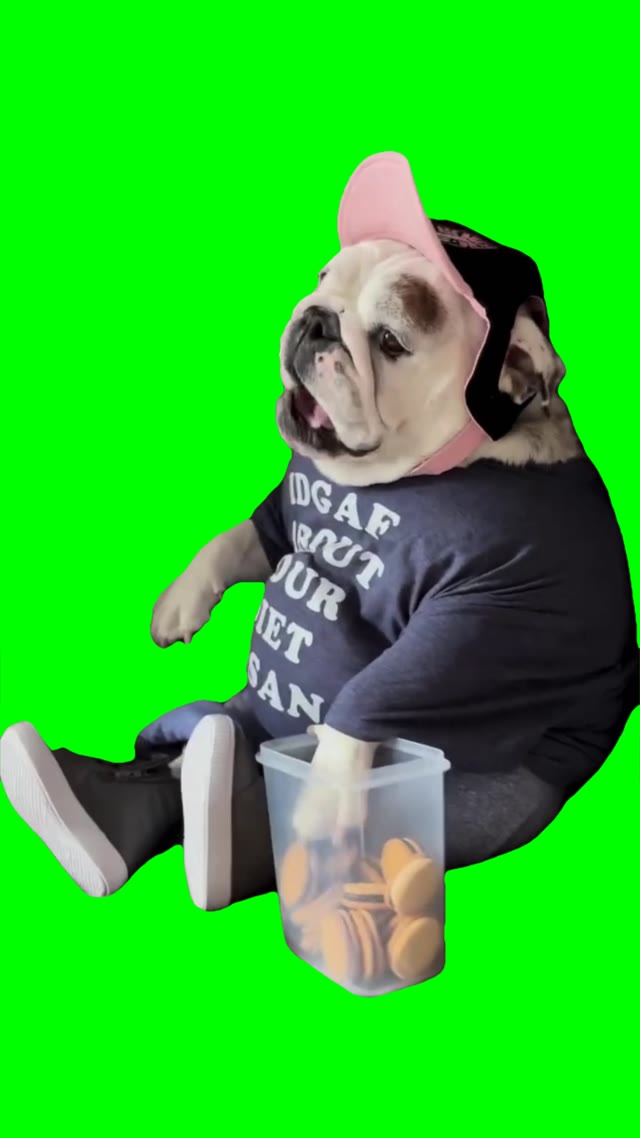 Dog eating green screen