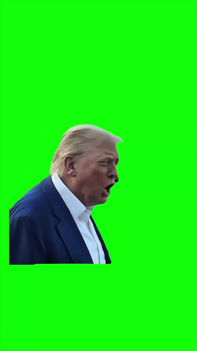 Donal Trump that they dont know what the fk theyre doing 4k online video cutter.com_ green screen