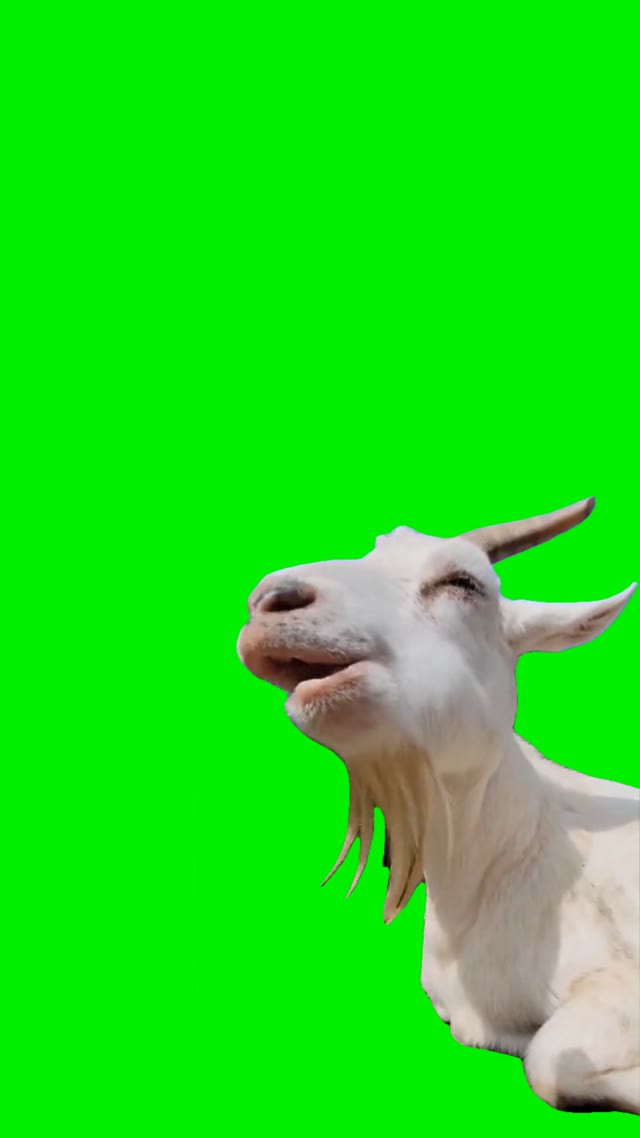 Eating out loud green screen