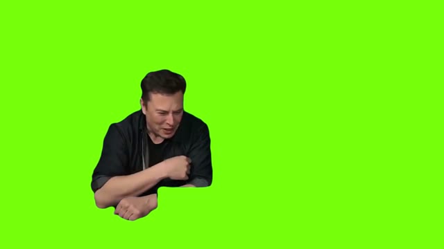 Elon musk dead deer green screen