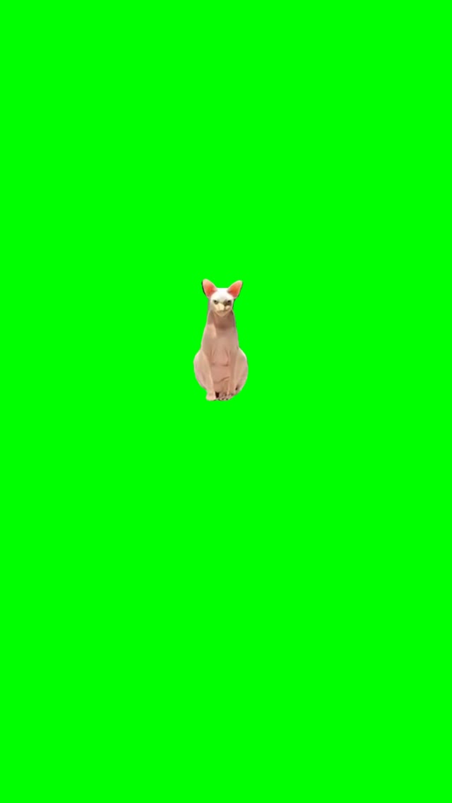 Evil sphinx green screen