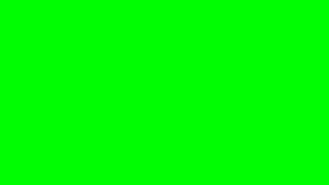 Fond Vert Danse TK78 green screen