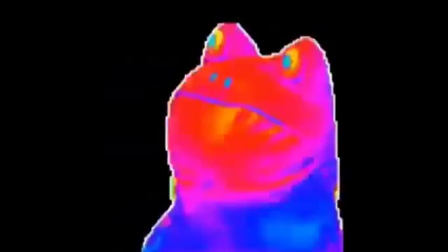 Frog Dancing green screen