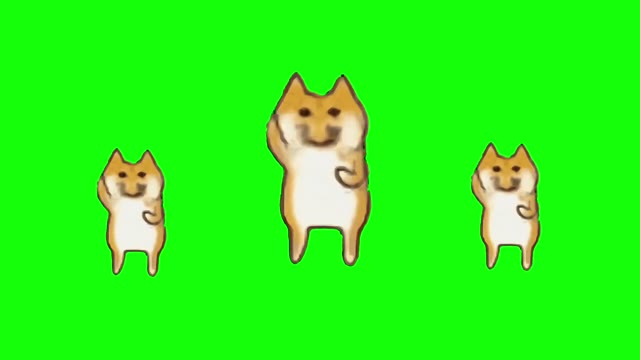 Funny Dog Dance green screen