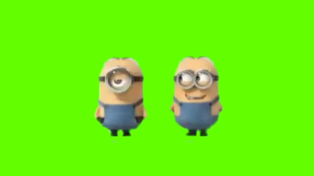 Funny Minions Laughing green screen