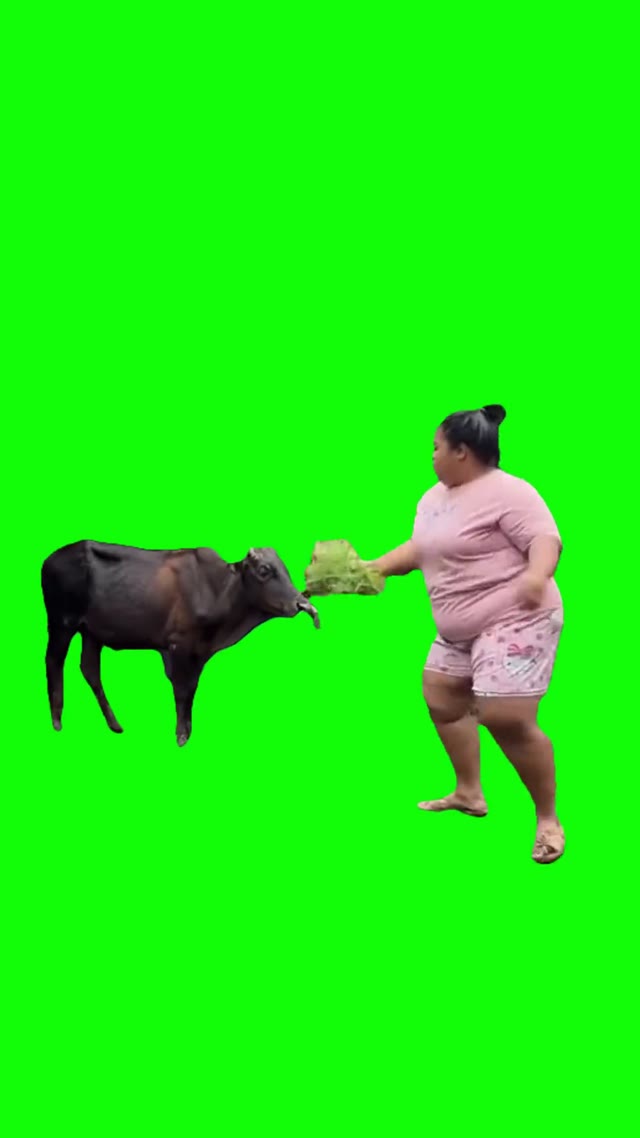 Gata Only green screen