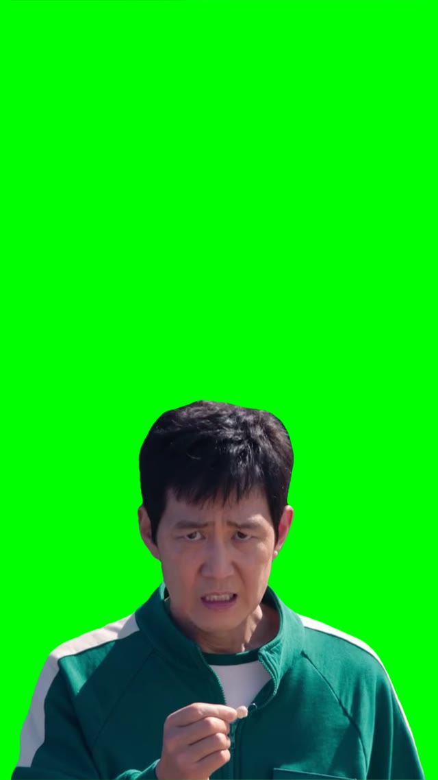 Gi Hun Camera zoom green screen